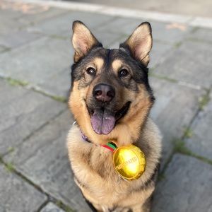 Meet your Posher, Emilie